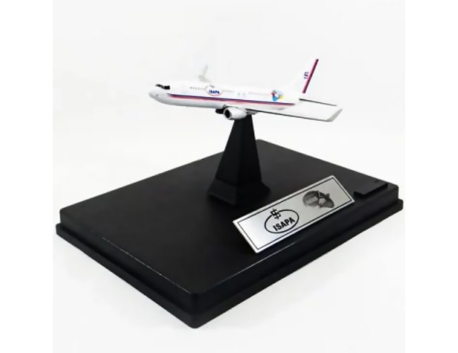 Miniatura De Avião Personalizada Com Base Quadrada Ou Redonda