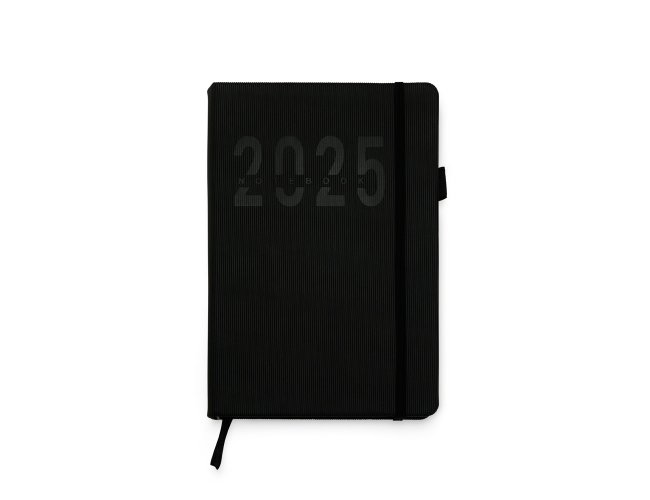Agenda Diária 2025
